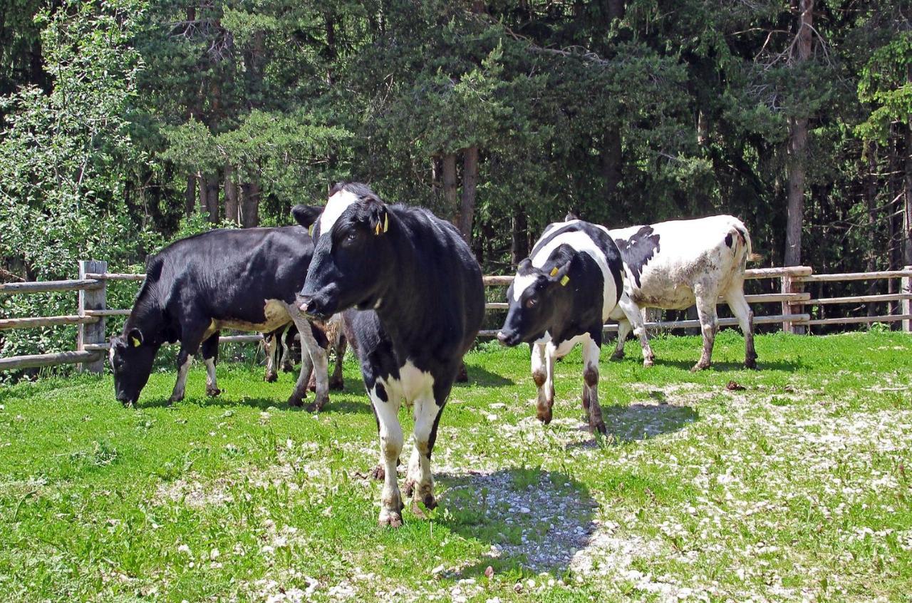 Niederhaeusererhof Pfalzen