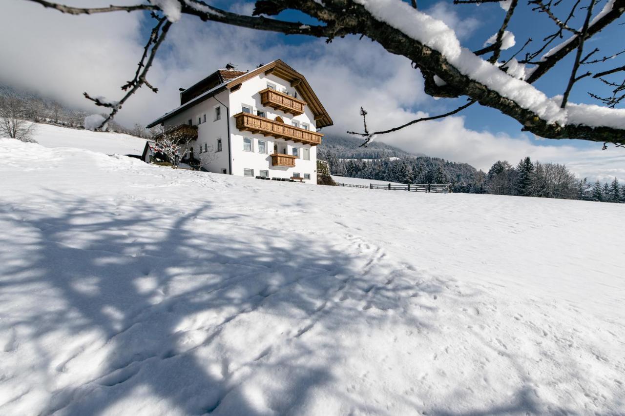 Niederhaeusererhof * Falzes